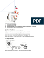 Rangkuman Bio Sistem Saraf