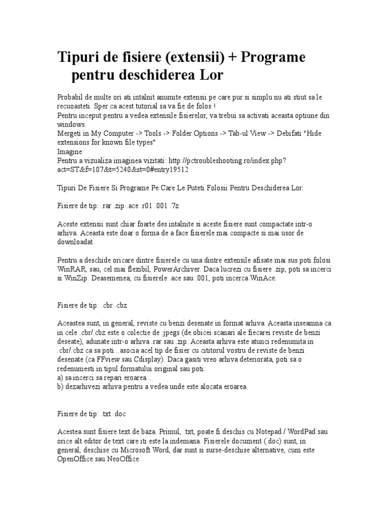 Tipuri de Fisiere | PDF