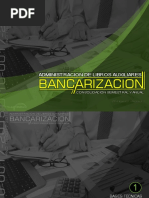 Introduccion Bancarizacion