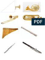 Instrumentos 