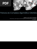 FRATURAS CZO.pdf