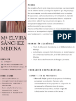 Curriculum M Elvira Sánchez Medina