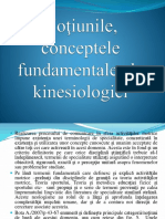 C2 Kinesiologie