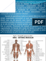 C8 Kinesiologie