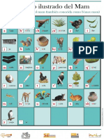 Abecedario en Mam PDF