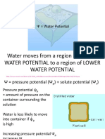 Water Moves From A Region of HIGHER Water Potential To A Region of Lower Water Potential