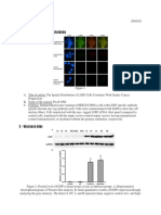 1 - Immunofluorescent Staining