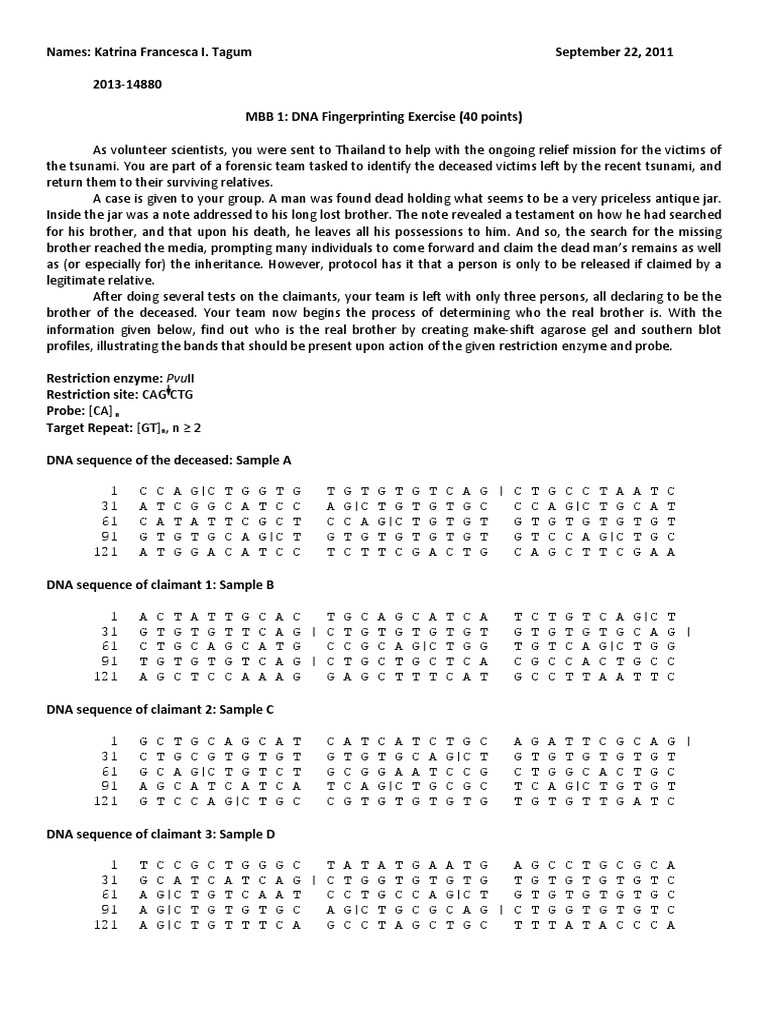DNA Fingerprinting Exercise 2011 | PDF | Gel Electrophoresis | Dna ...