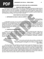 Intensivão - 3º Dia