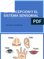 percepción_Ovsd