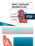 PJK Penyuluhan.pptx