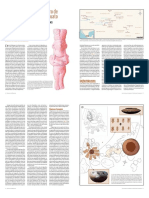 02 CHIPICUARO Brigite PDF