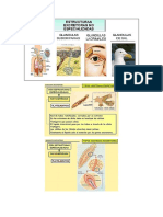 Ambiente Ciencia