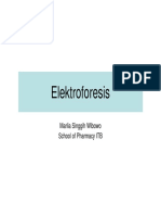 Elektroforesis.pdf