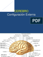 cerebroconfiguracinexterna-100714231548-phpapp01