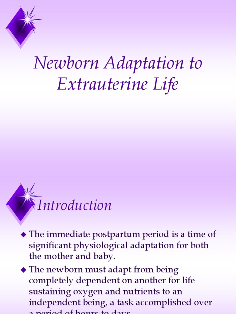 Newborn Adaptation to Extrauterine Life | PDF | Respiratory System | Liver