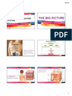 Lesson-2-Integumentary-System-COMPRESSED-ED-HEKHEK (1).pdf