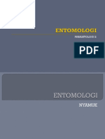 ENTOMOLOGI Praktek.ppt