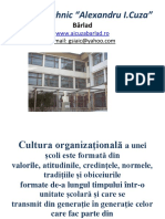 Word Cultura Organizationala