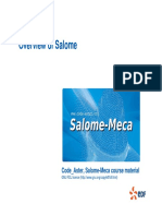 02 Salome