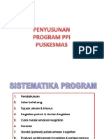 Program PPI Puskesmas