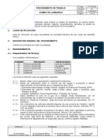 253956919-Procedimiento-Para-El-Cambio-de-Luminarias.pdf