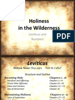 Holiness in The Wilderness