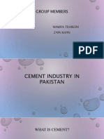 Cement Industry in Pakistan: Production, Types & Future Outlook