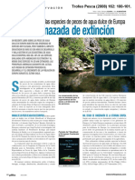 Está Amenazada de Extinción: La Tercera Parte de Las Especies de Peces de Agua Dulce de Europa