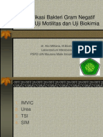 Identifikasi Bakteri Gram Negatif Dengan Uji Motilitas Dan