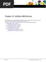 1 - Infoblox DNS Overview