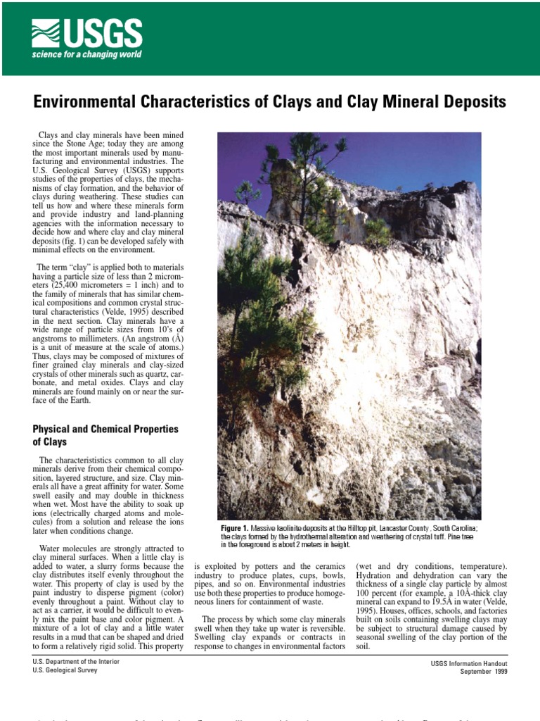 Environmental Characteristics of Clays and Clay Mineral Deposits | PDF ...
