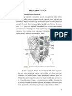 Hernia Inguinalis