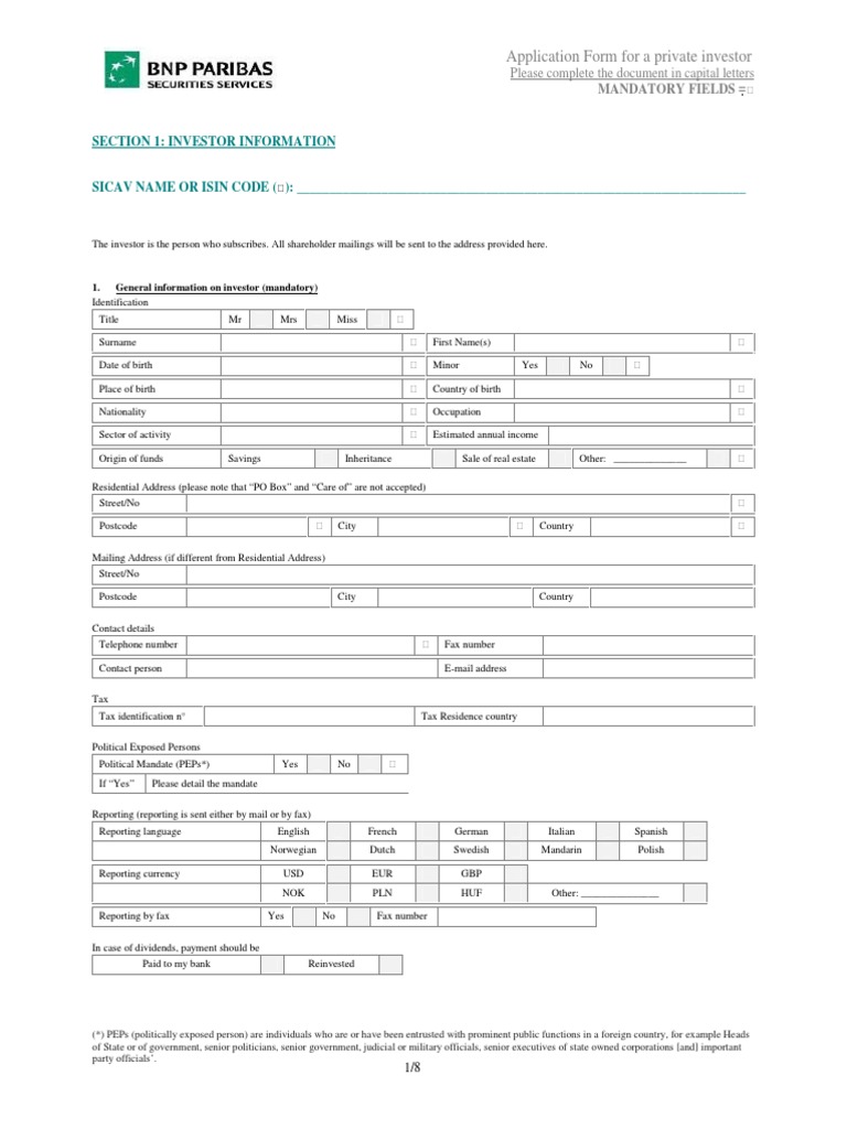 Private Investor Application Form | PDF | Money Laundering | Government