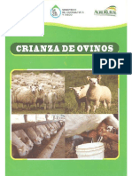 Manual Crianza de Ovino PDF