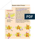 biologuia transportes.docx