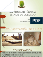 Universidad Técnica Estatal de Quevedo: Industria Del Cuero Ing. Andrea Cortez Espinoza, M.SC
