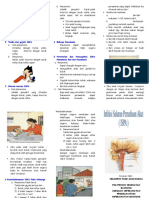 241797843-Leaflet-ISPA-1-doc.doc