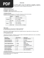 PRONOME - Materia Impressao
