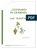 Plantas guía visual