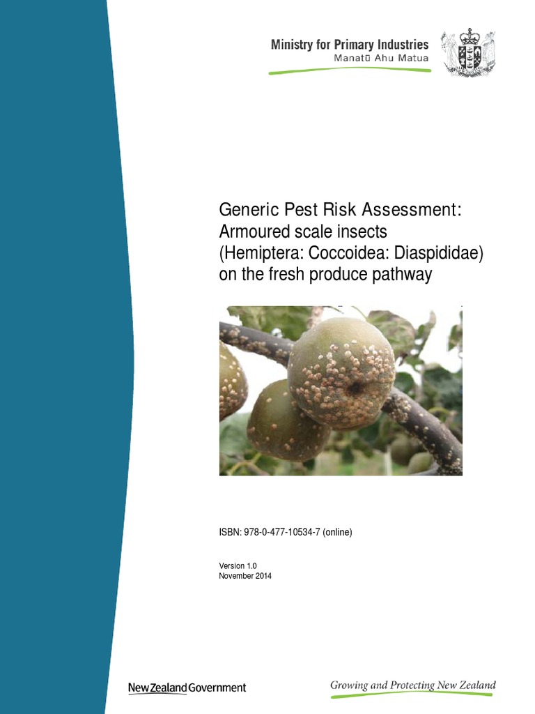 2015 Generic Pest Risk Assessment Armoured Scale Insects PDF | PDF ...