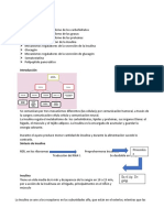 Fisiología Gastro