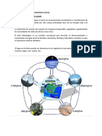 Informe 1 Flujo Turbulento