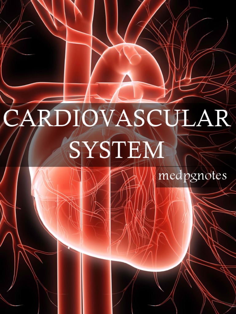 Cardiovascular System Overview Guide | PDF | Heart | Heart Valve
