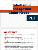 Metabolismul Bioenergetica Ciclul Krebs