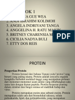 Protein Kelompok 1