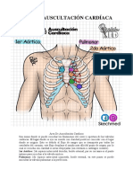 Áreas de Auscultacion