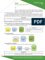 26-uso-de-manipueira.pdf