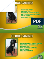 Catálogo de Caninos para Adopción - Criadero Mancilla - Facatativá