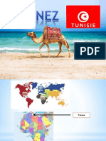 Túnez Expo AURO